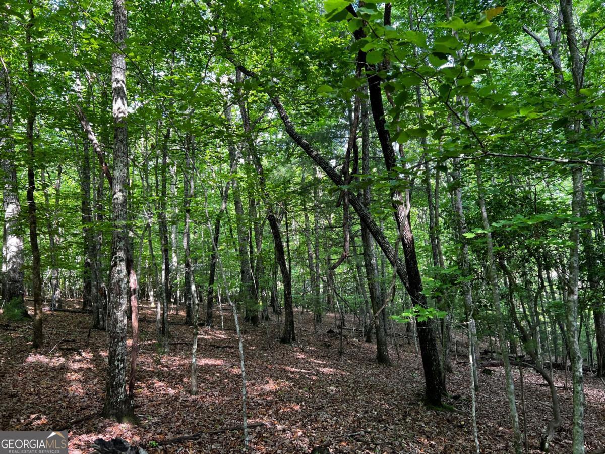 3.52 Ac Payne Way Blairsville GA 30512