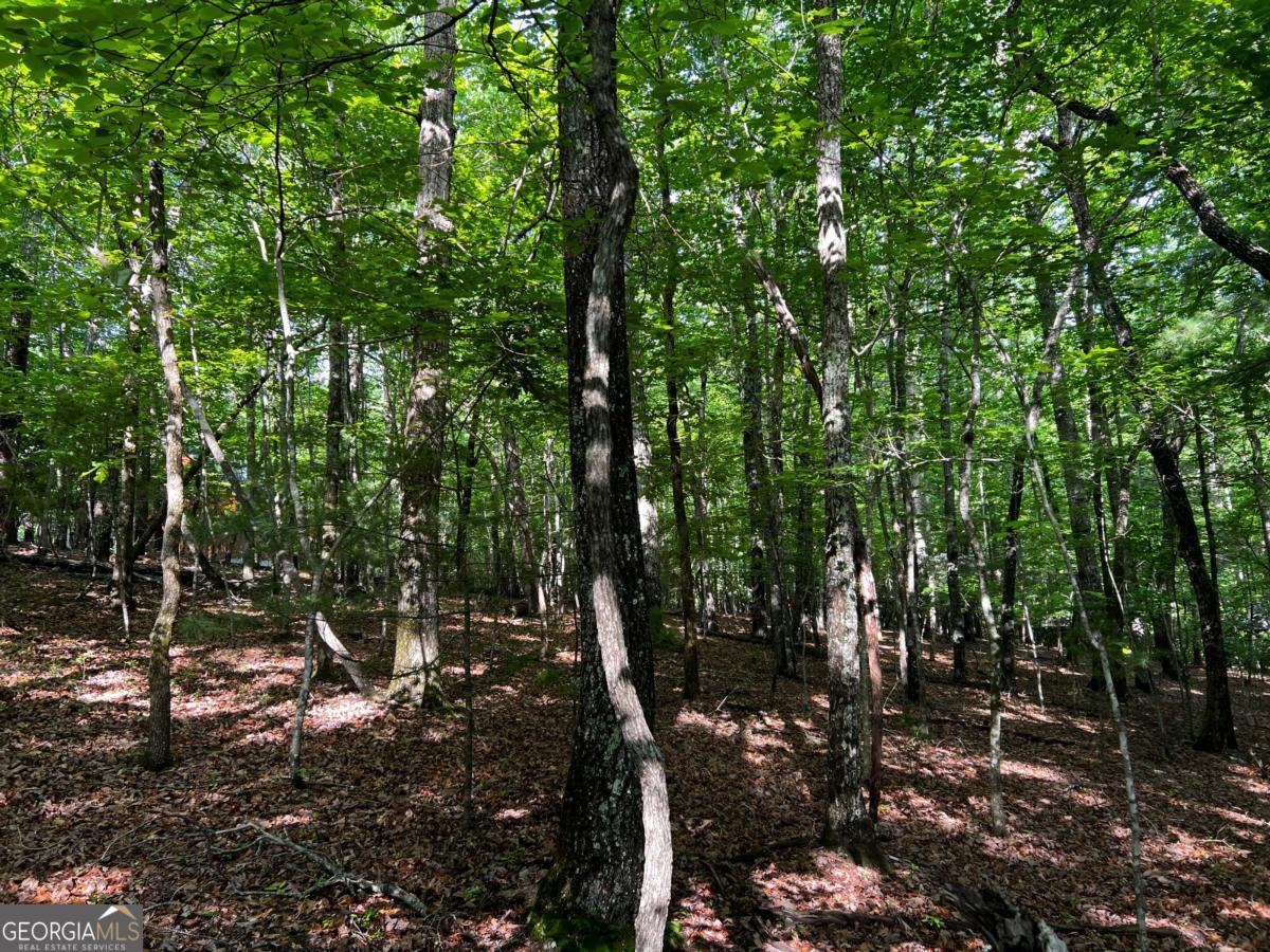 3.52 Ac Payne Way Blairsville GA 30512