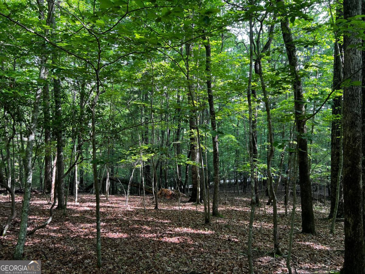 3.52 Ac Payne Way Blairsville GA 30512