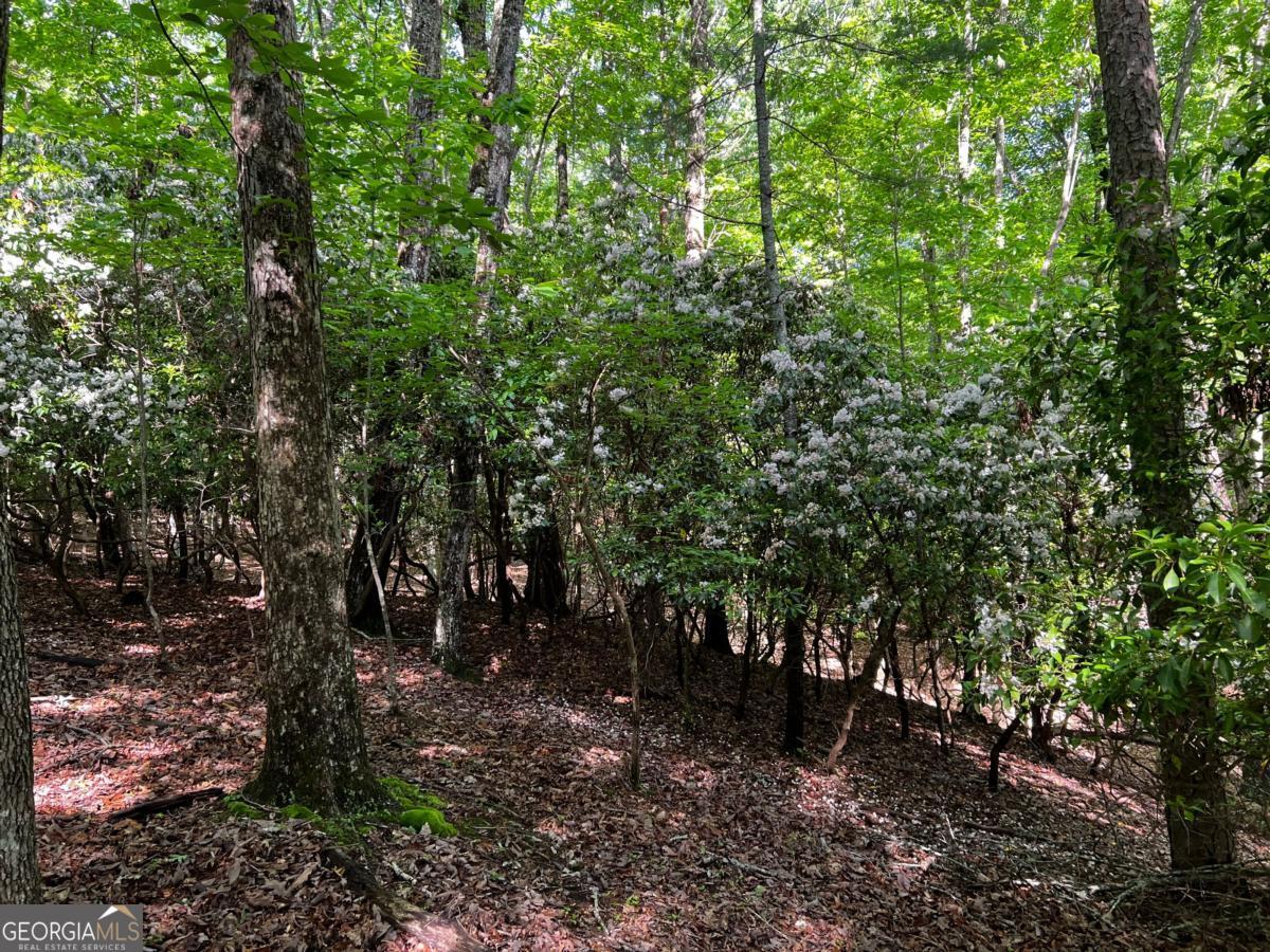 3.52 Ac Payne Way Blairsville GA 30512