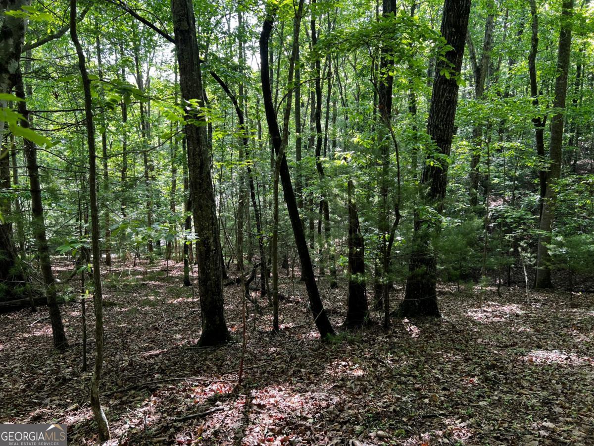3.52 Ac Payne Way Blairsville GA 30512