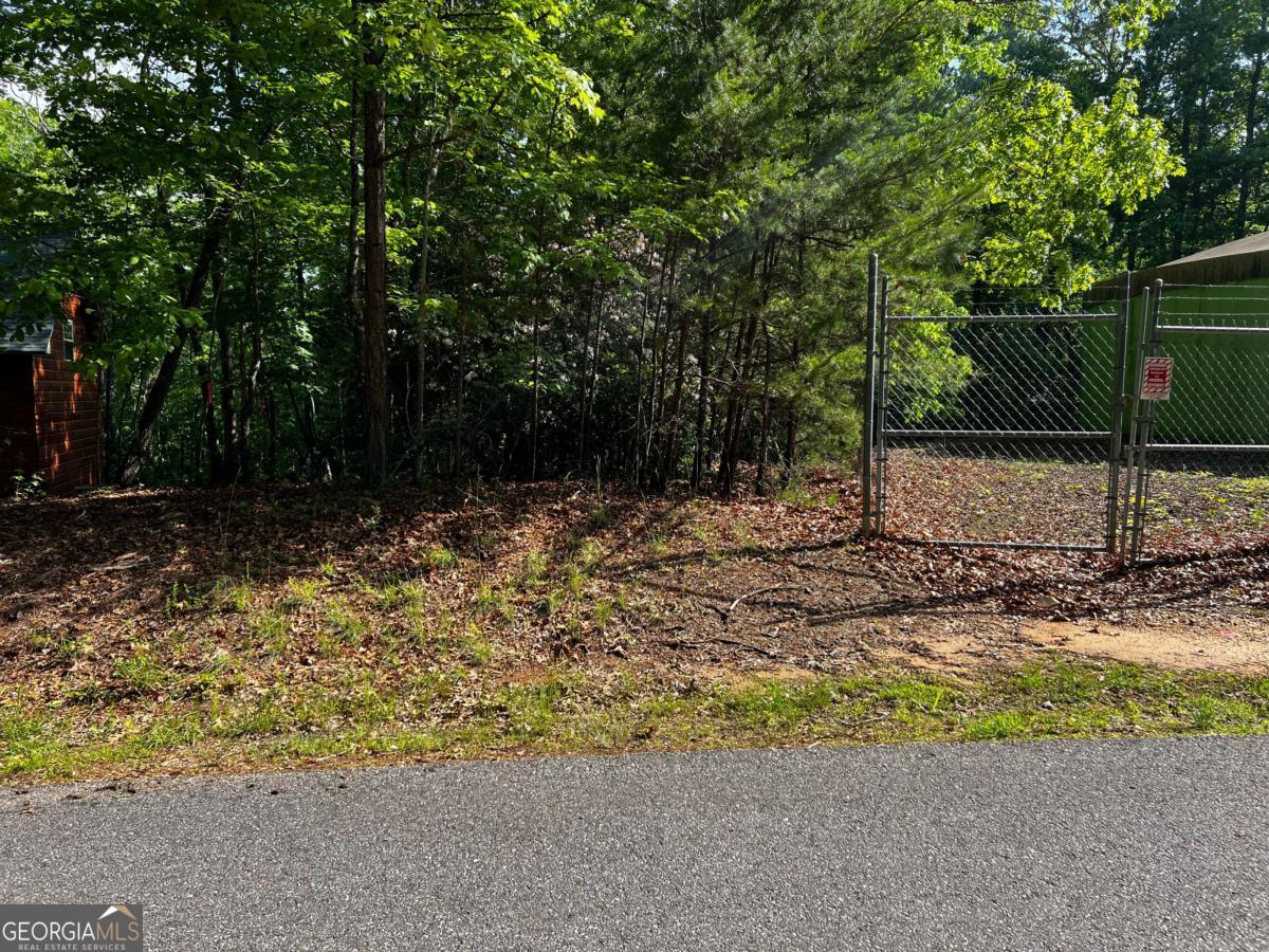 3.52 Ac Payne Way Blairsville GA 30512