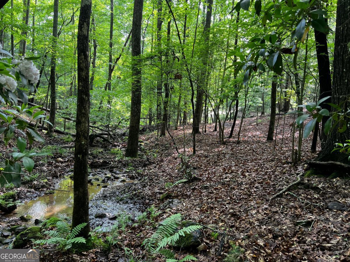 3.52 Ac Payne Way Blairsville GA 30512