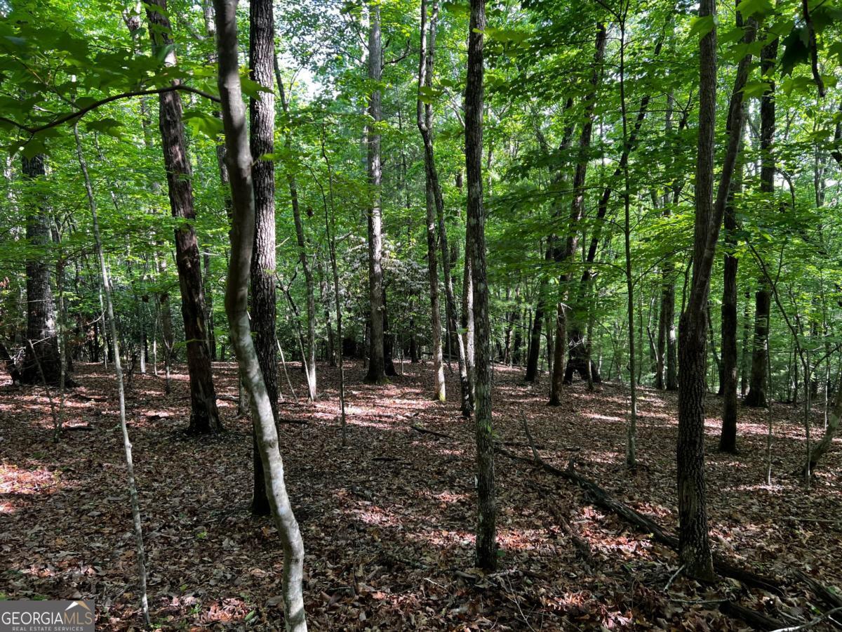 3.52 Ac Payne Way Blairsville GA 30512
