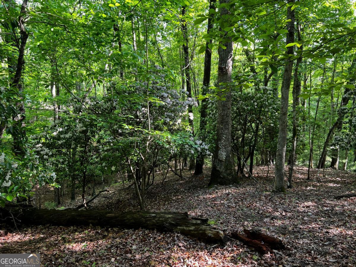 3.52 Ac Payne Way Blairsville GA 30512