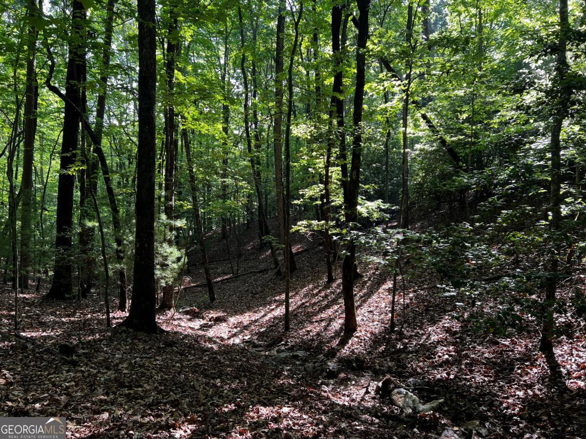 3.52 Ac Payne Way Blairsville GA 30512