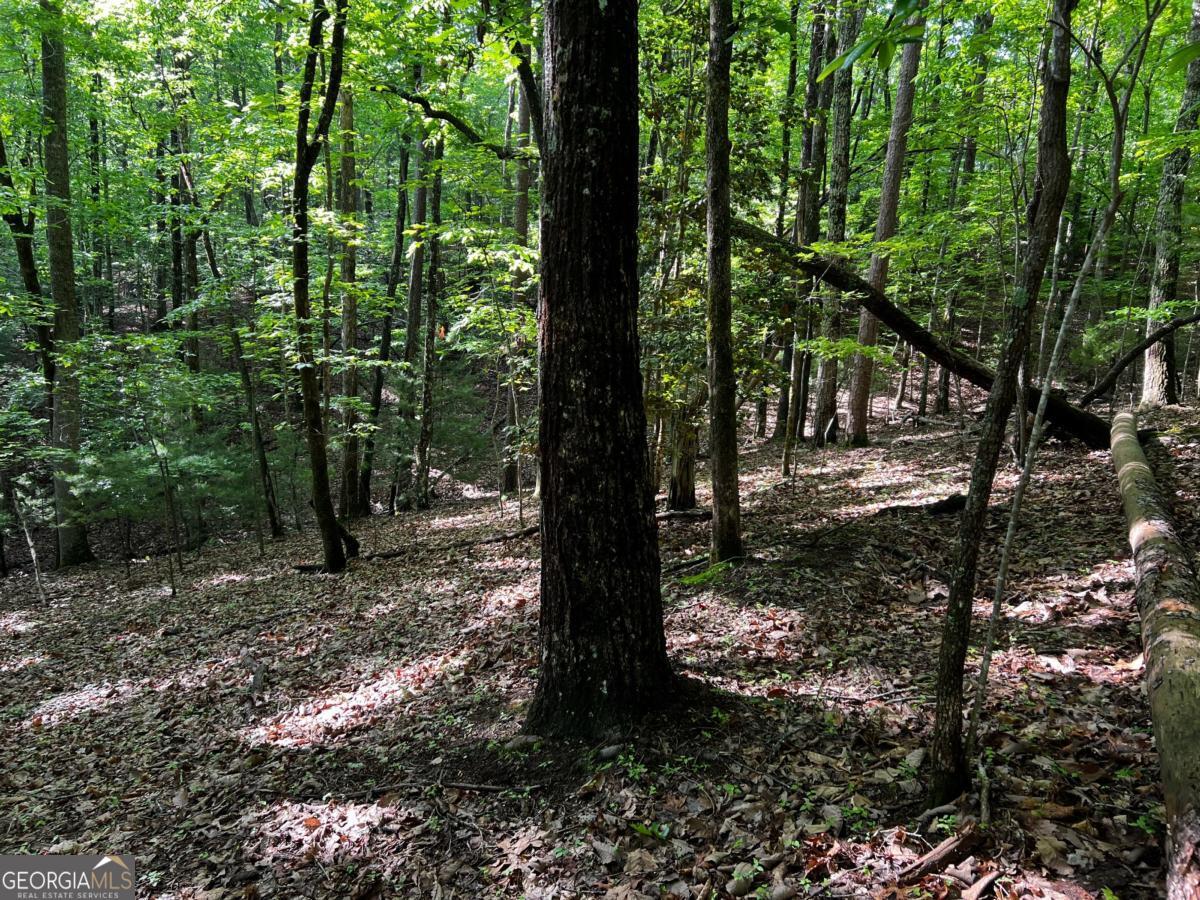 3.52 Ac Payne Way Blairsville GA 30512