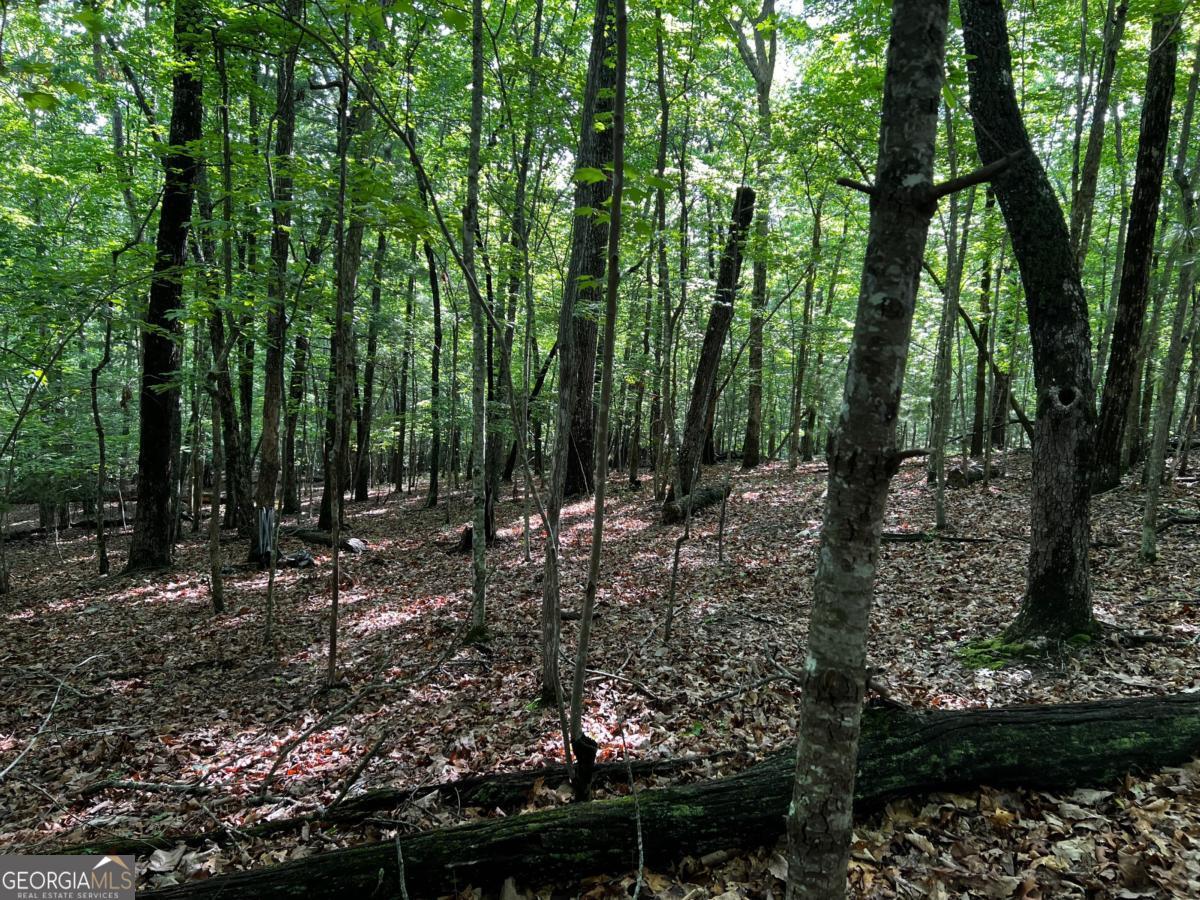 3.52 Ac Payne Way Blairsville GA 30512