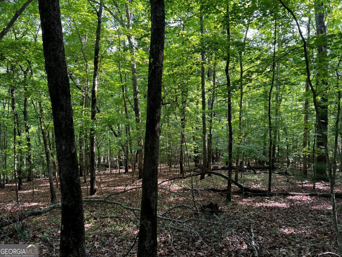 3.52 Ac Payne Way Blairsville GA 30512