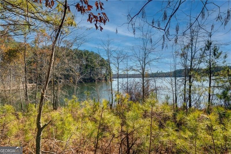 697 Moccasin Gap Road Jackson GA 30233