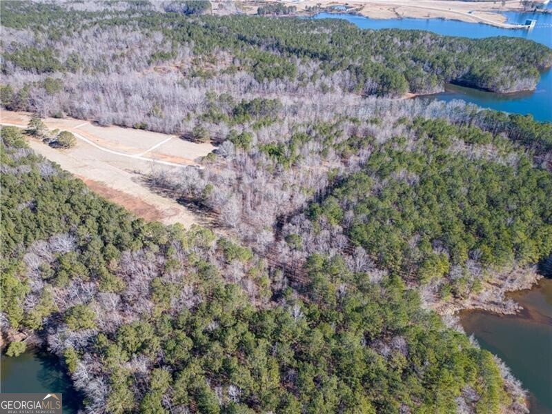 697 Moccasin Gap Road Jackson GA 30233