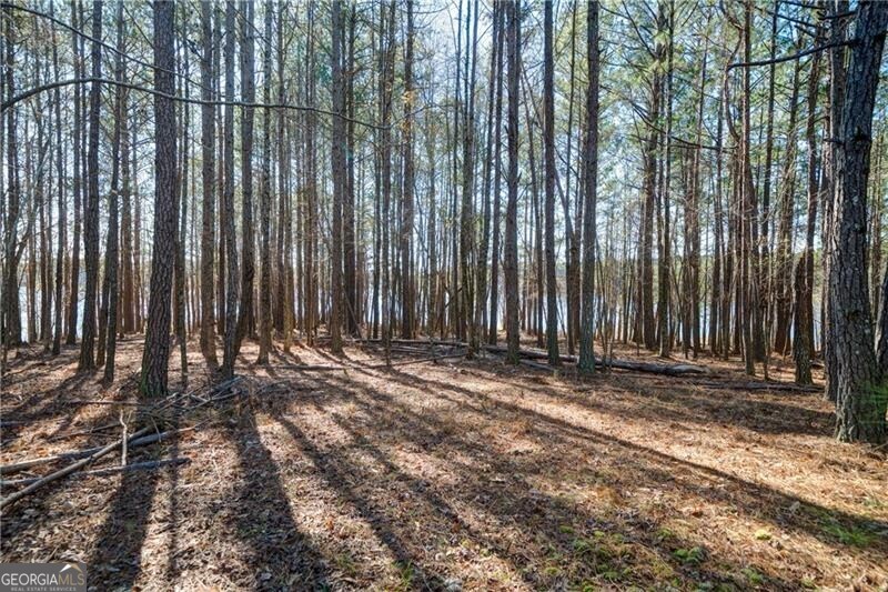 697 Moccasin Gap Road Jackson GA 30233