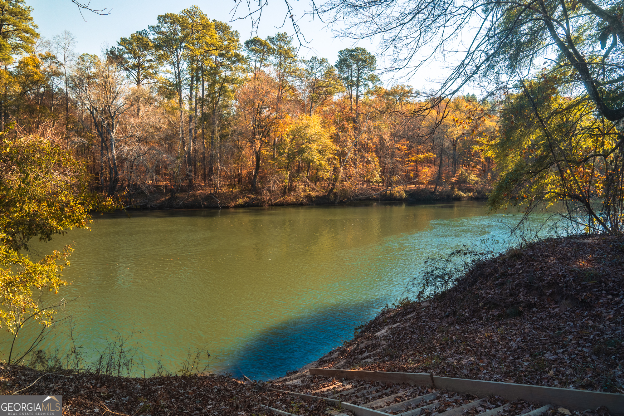 464 Old Dames Ferry Road Juliette GA 31046