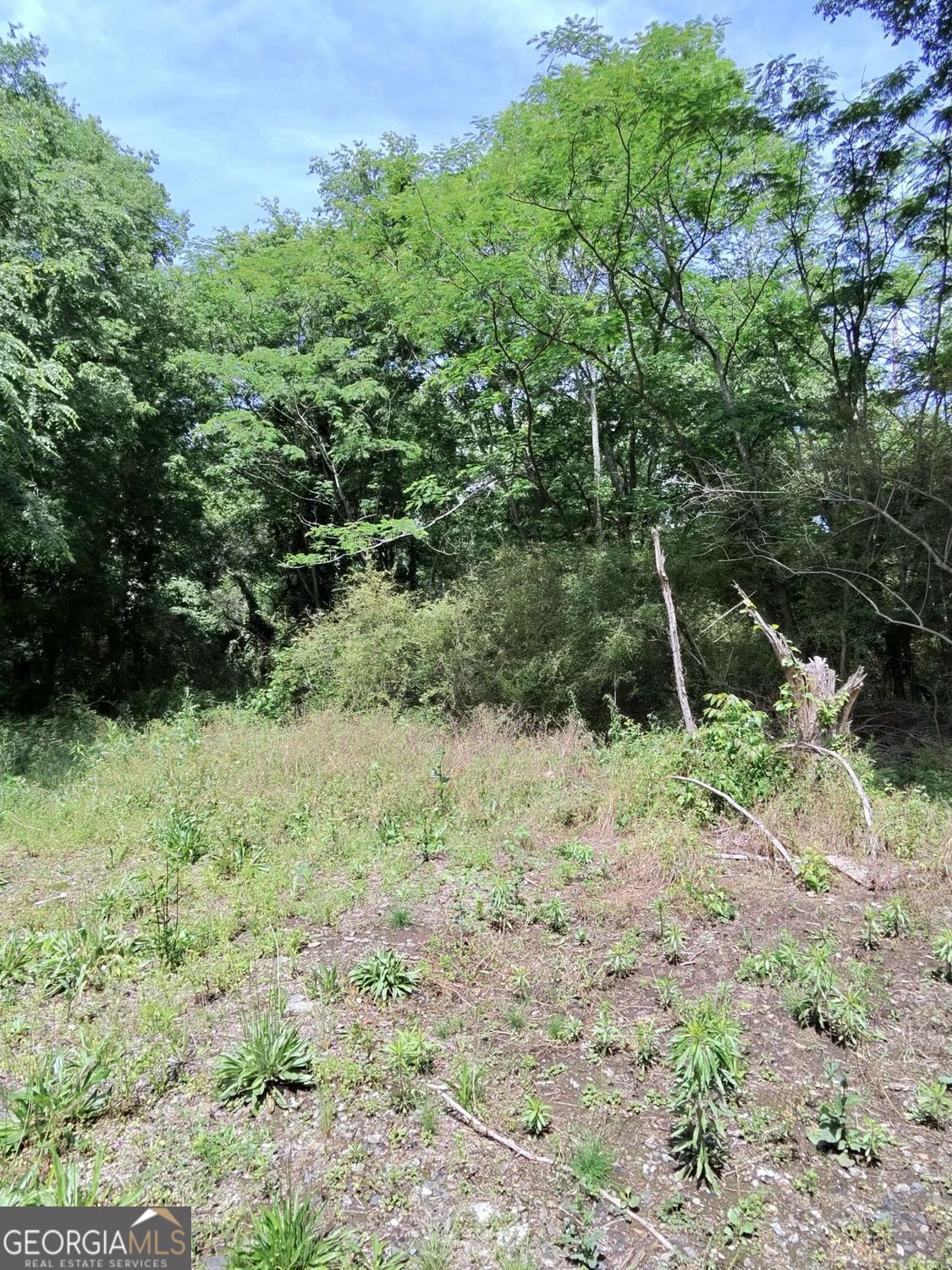 479 Sandtown Road SE Lot 4 Cartersville GA 30121