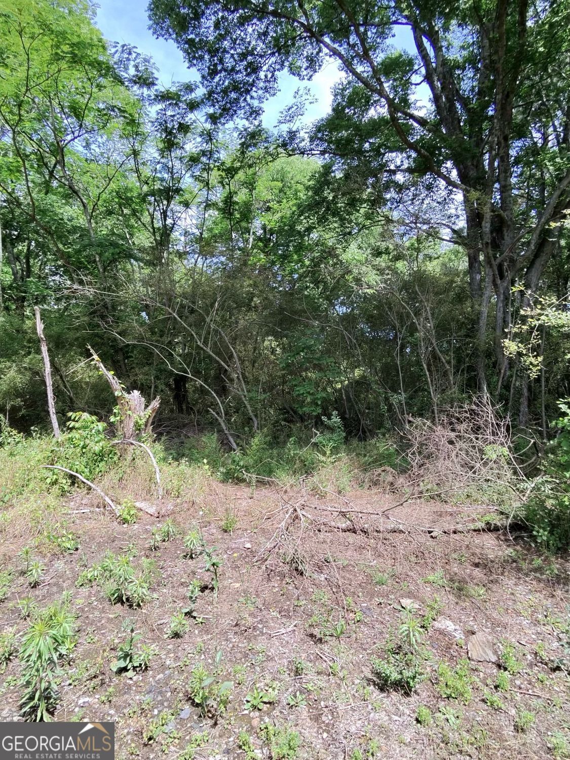 479 Sandtown Road SE Lot 4 Cartersville GA 30121