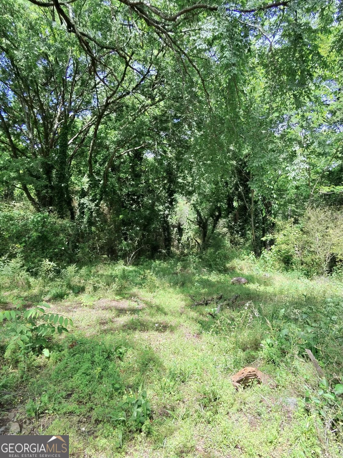 479 Sandtown Road SE Lot 4 Cartersville GA 30121