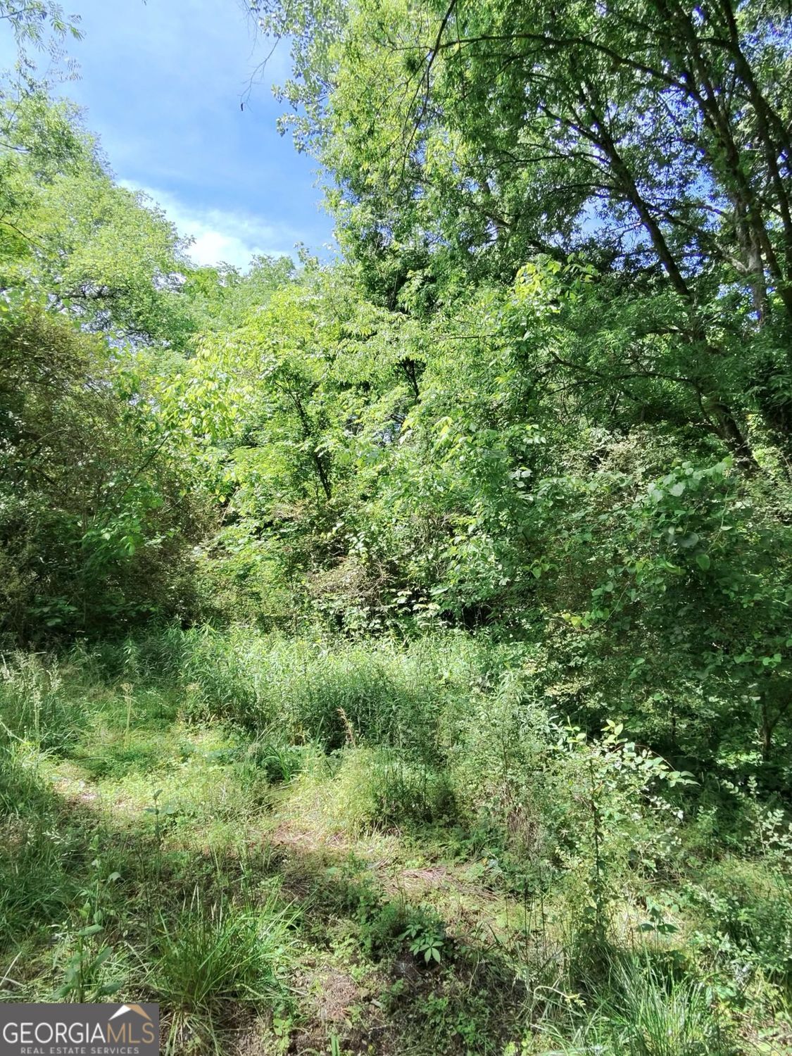 479 Sandtown Road SE Lot 4 Cartersville GA 30121