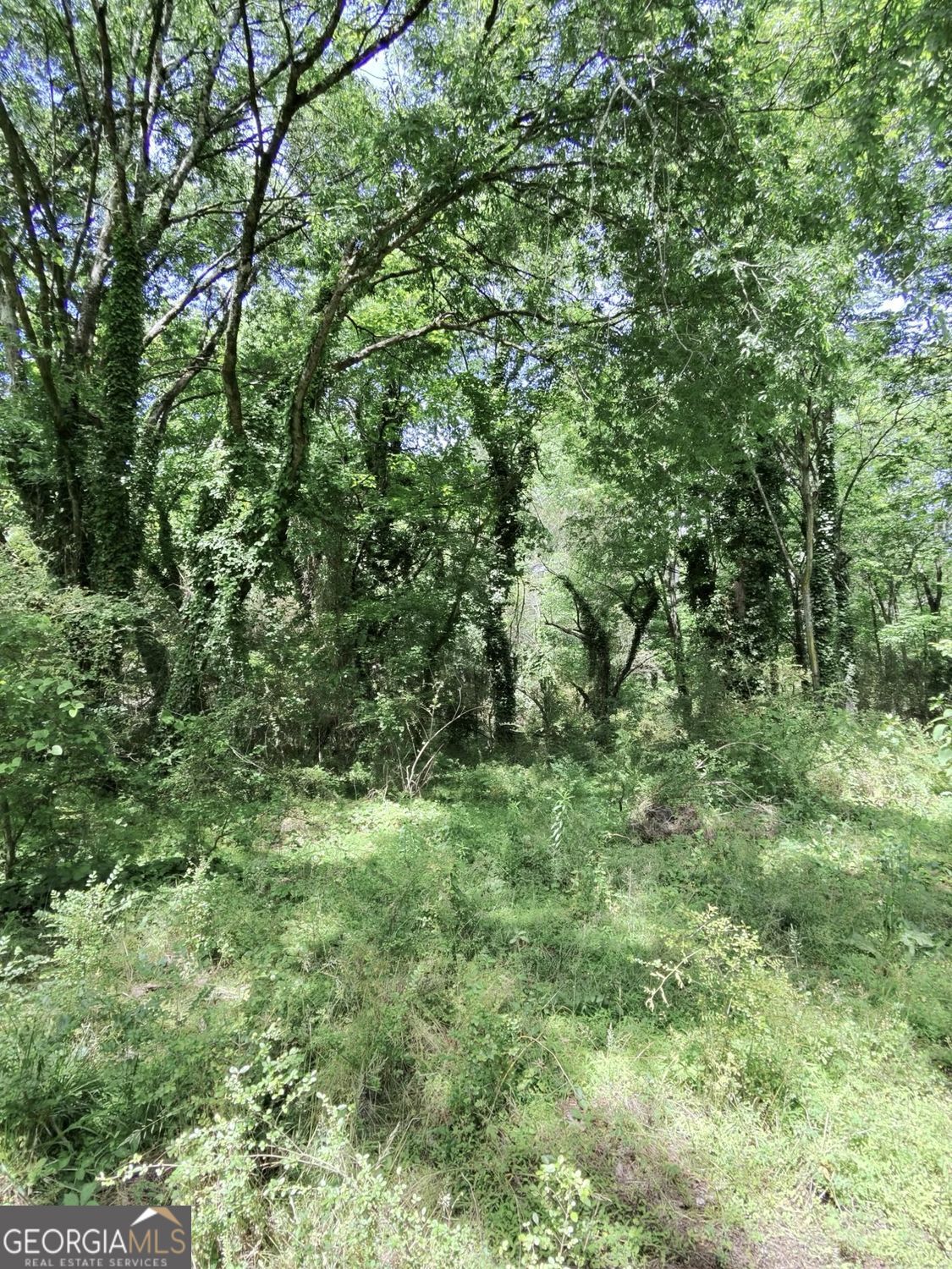 479 Sandtown Road SE Lot 4 Cartersville GA 30121