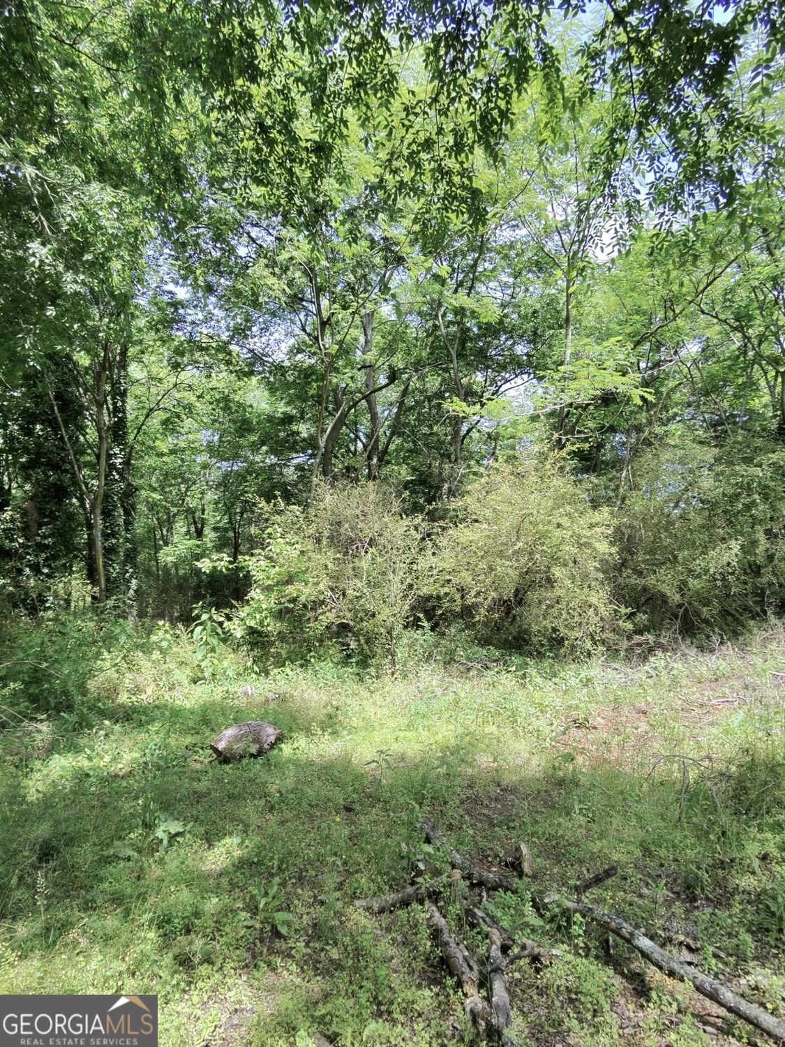 479 Sandtown Road SE Lot 4 Cartersville GA 30121