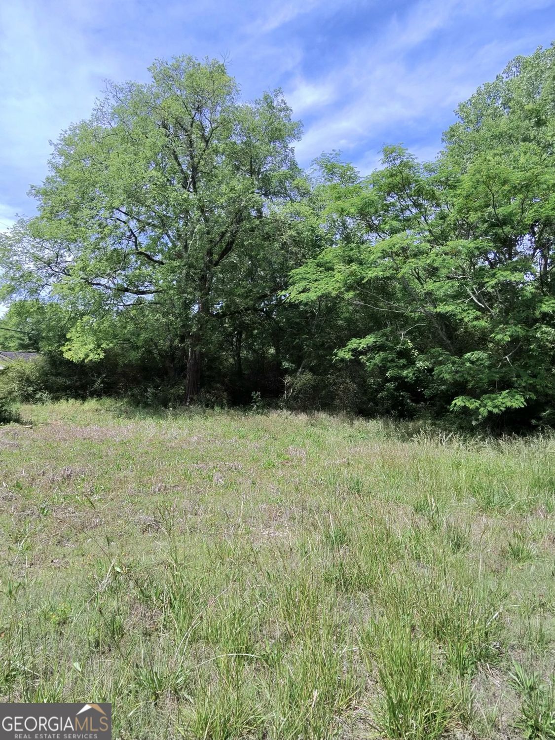 479 Sandtown Road SE Lot 4 Cartersville GA 30121