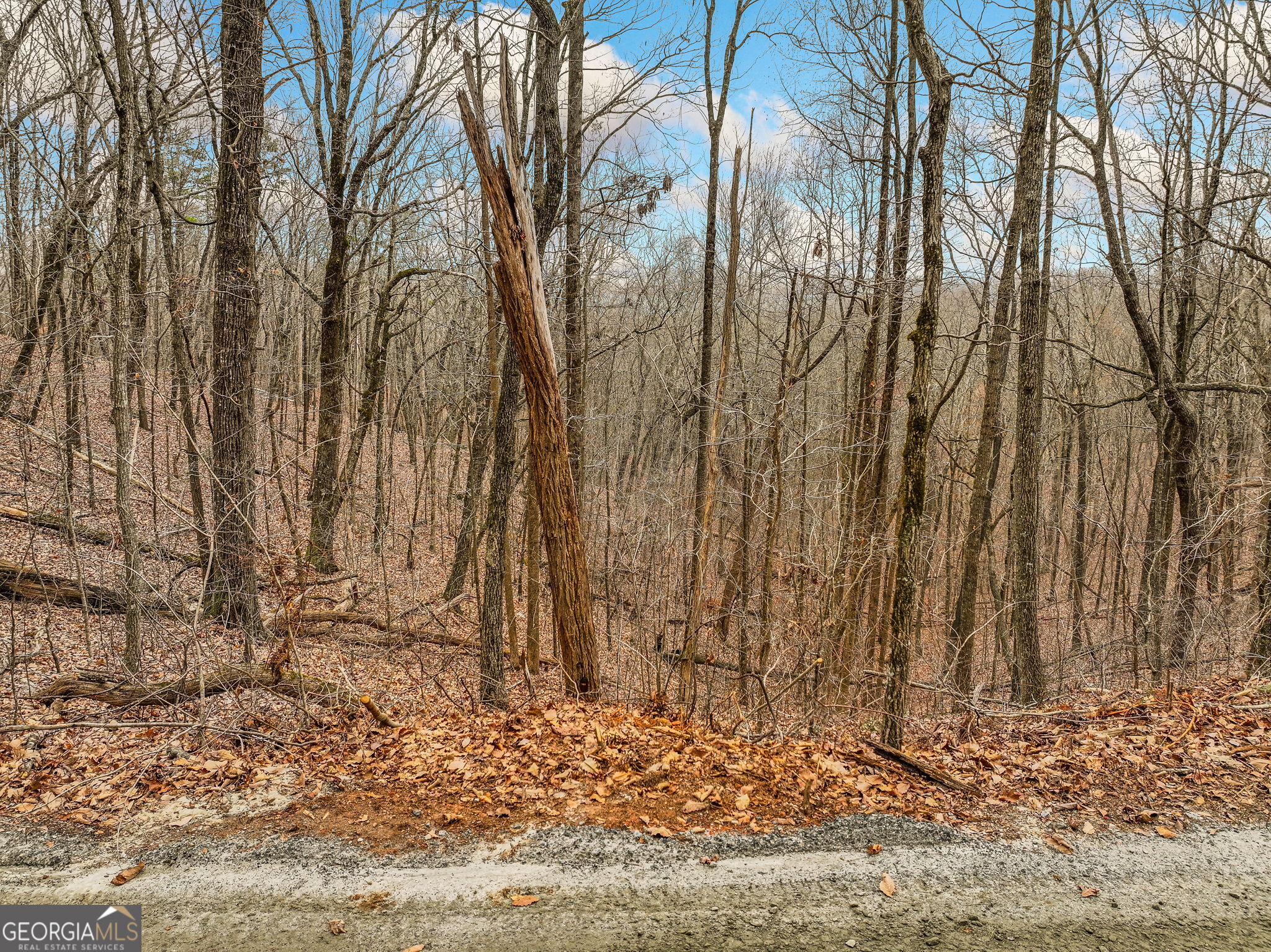 Lot 6 Mount Mincie Road Murrayville GA 30564
