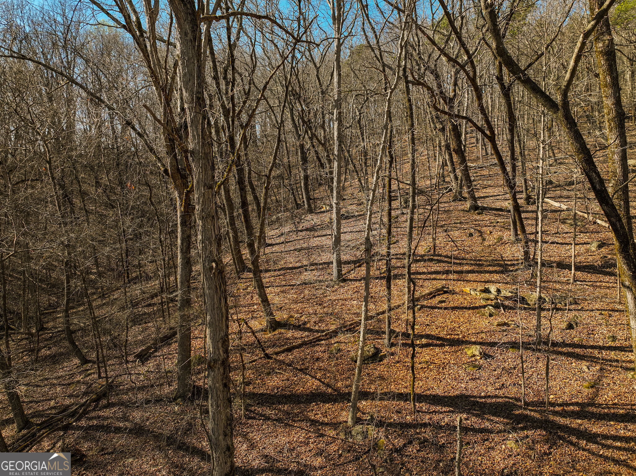 Lot 6 Mount Mincie Road Murrayville GA 30564