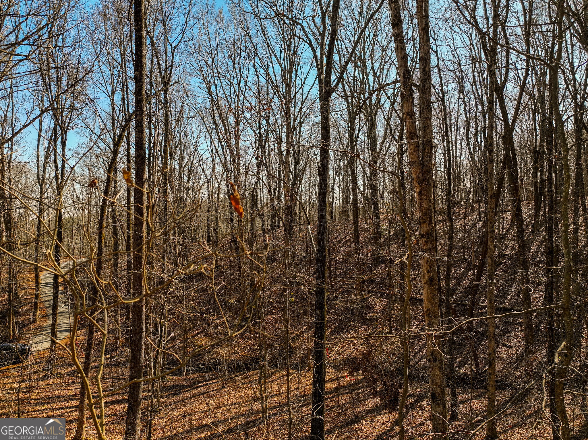 Lot 6 Mount Mincie Road Murrayville GA 30564