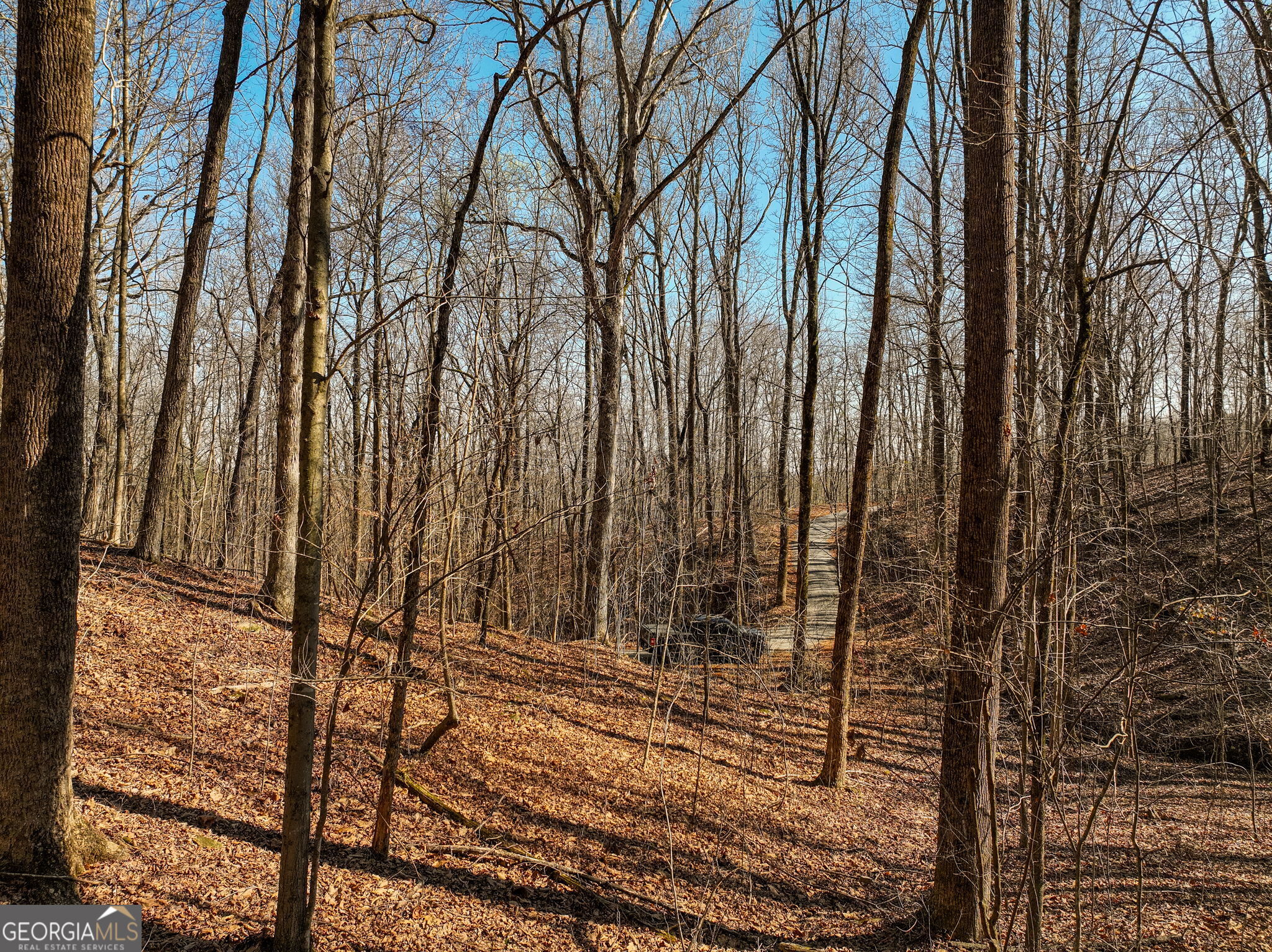 Lot 6 Mount Mincie Road Murrayville GA 30564