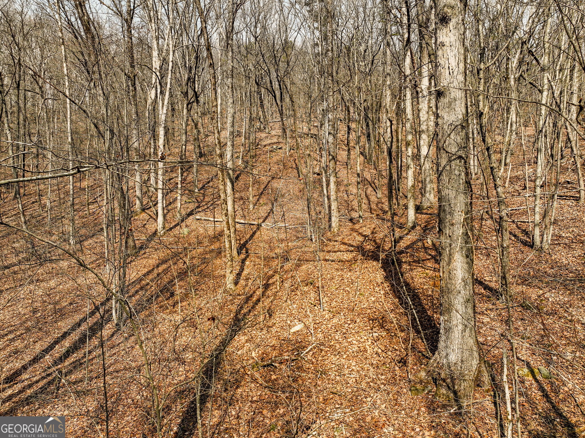 Lot 6 Mount Mincie Road Murrayville GA 30564