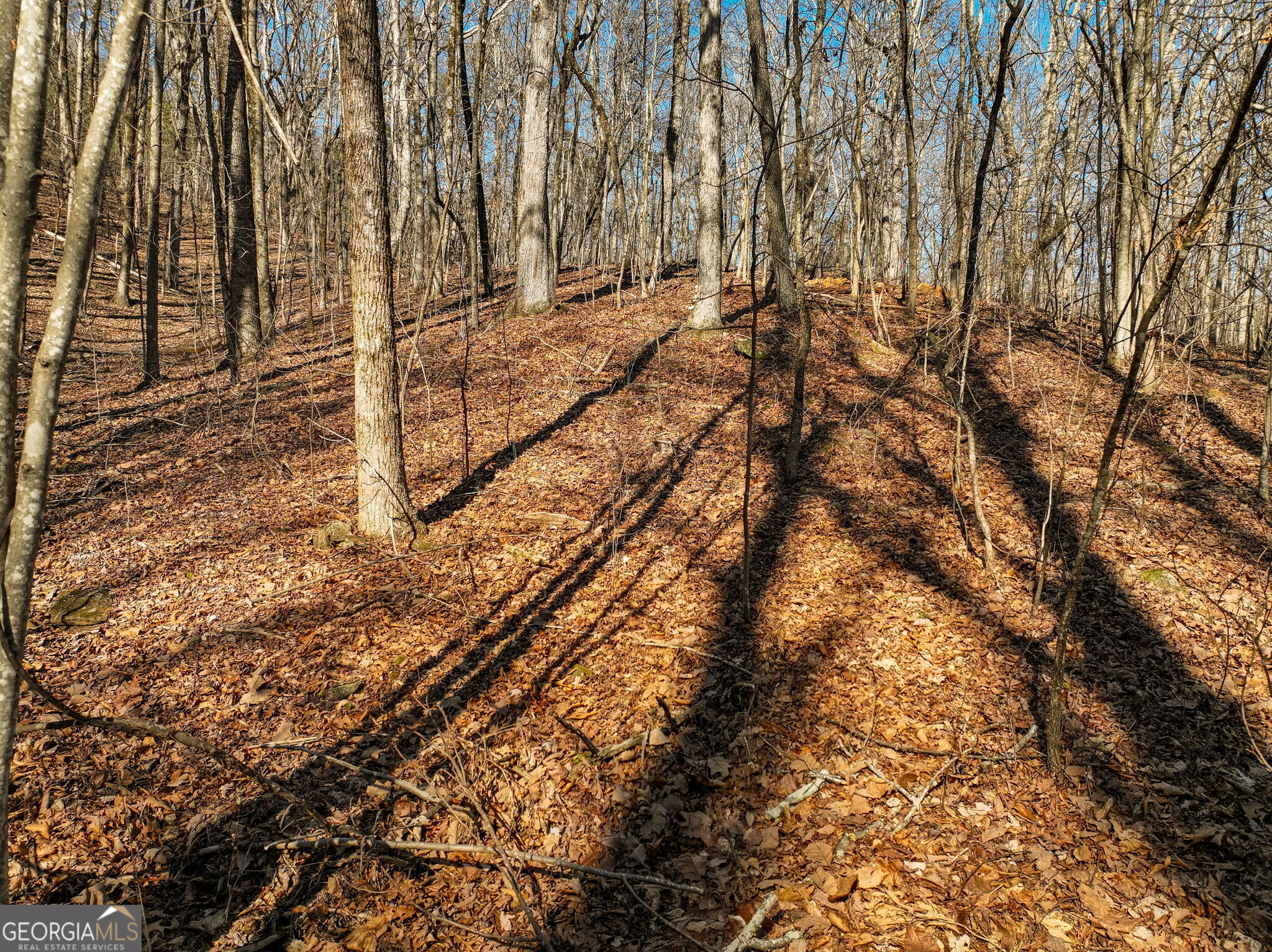 Lot 6 Mount Mincie Road Murrayville GA 30564