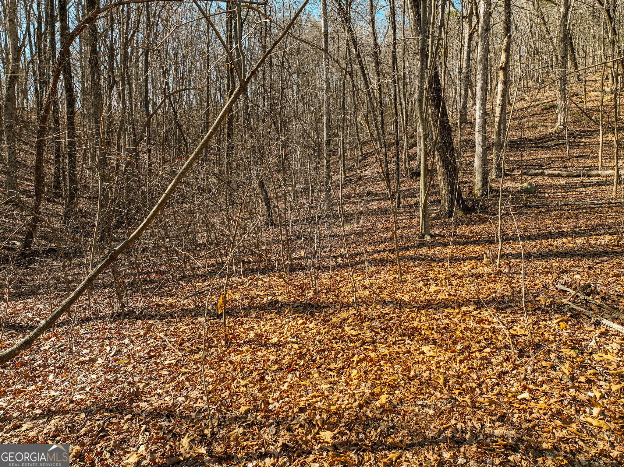 Lot 6 Mount Mincie Road Murrayville GA 30564