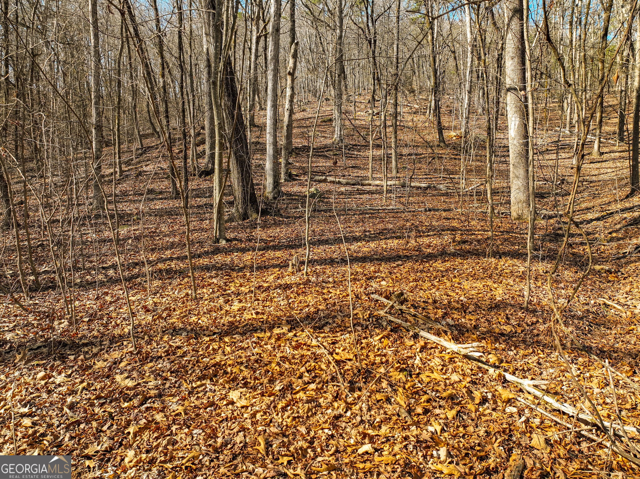 Lot 6 Mount Mincie Road Murrayville GA 30564
