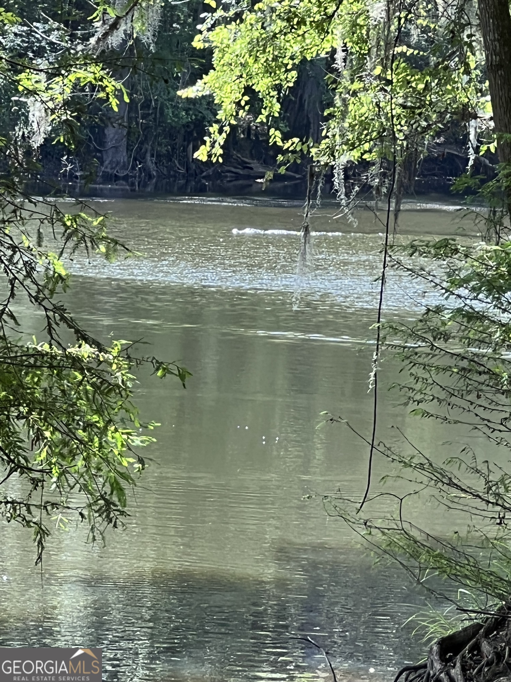 1564 Eagles Point Surrency GA 31563