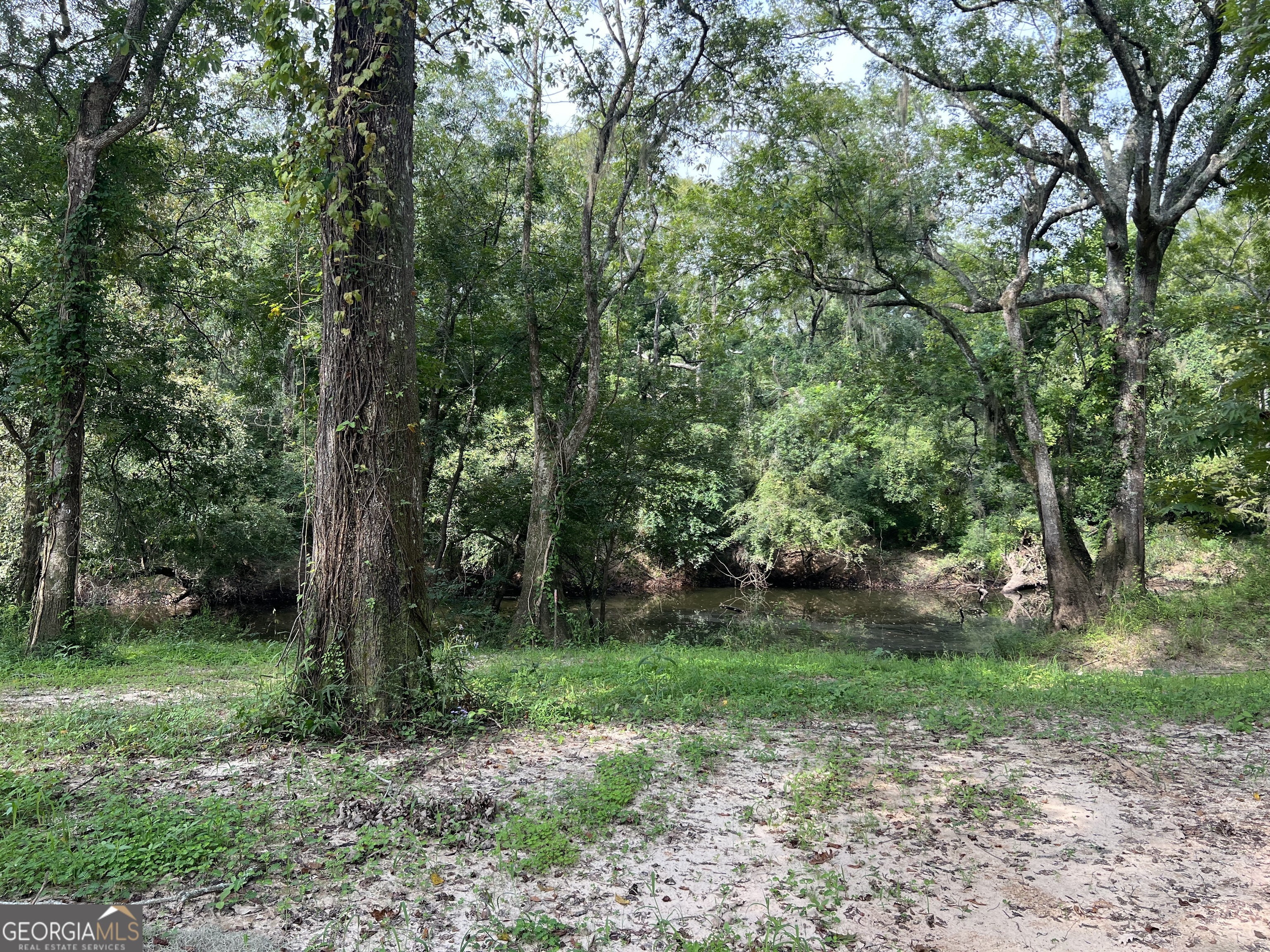 1564 Eagles Point Surrency GA 31563