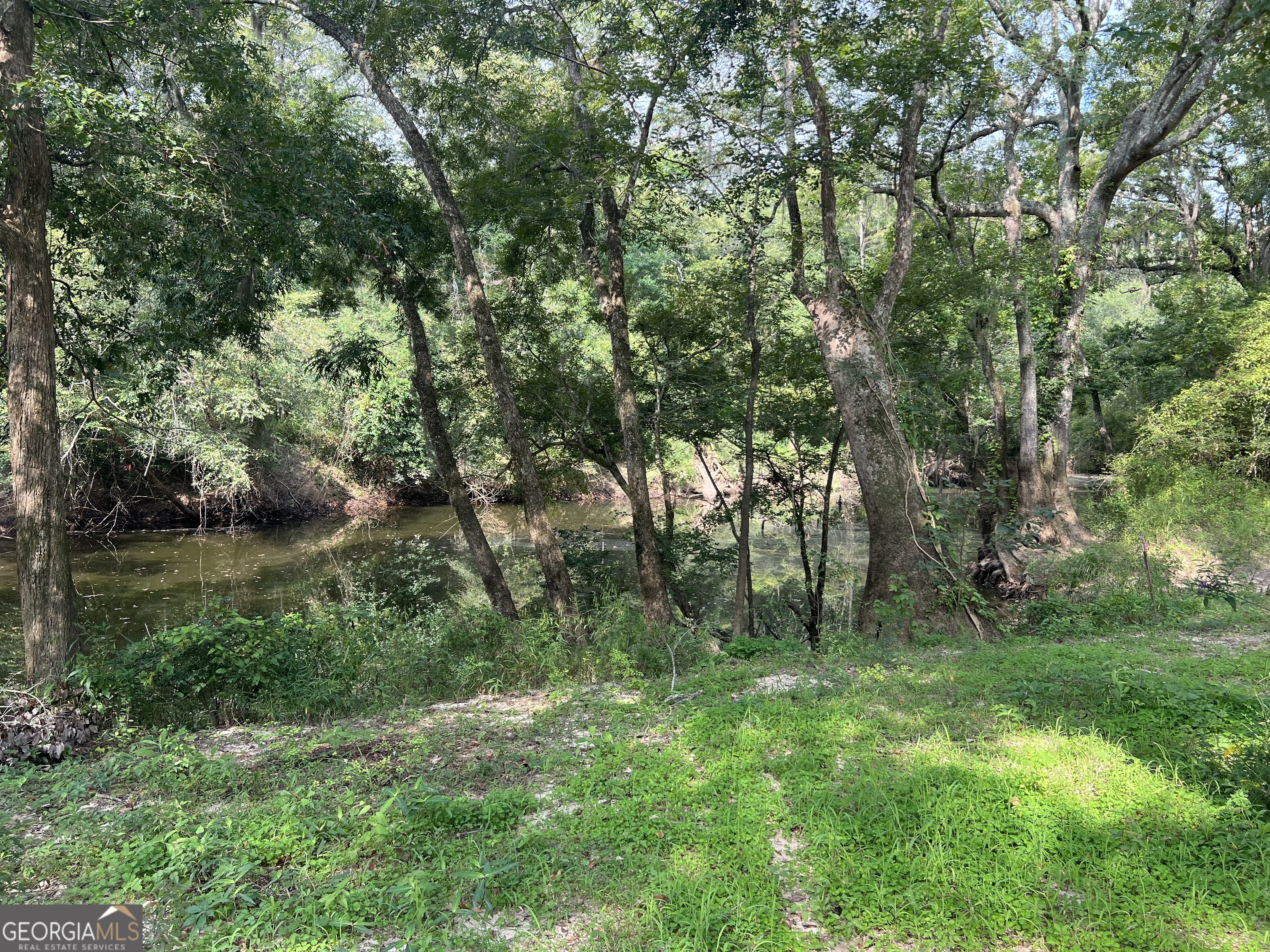 1564 Eagles Point Surrency GA 31563
