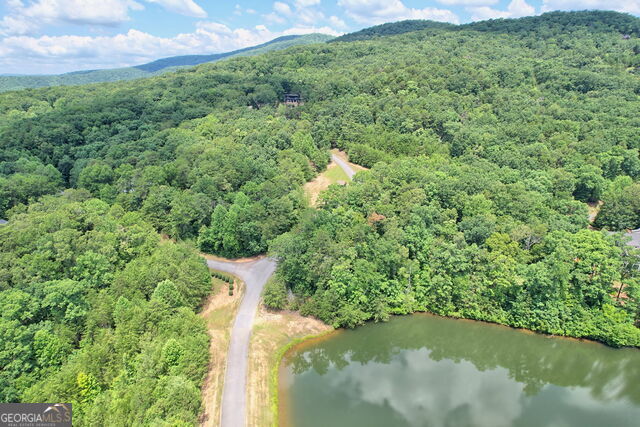 0 Lot #6A23 Pippin Circle Clarkesville GA 30523