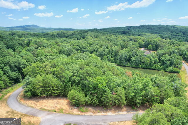0 Lot #6A23 Pippin Circle Clarkesville GA 30523