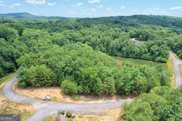 0 Lot #6A23 Pippin Circle Clarkesville GA 30523
