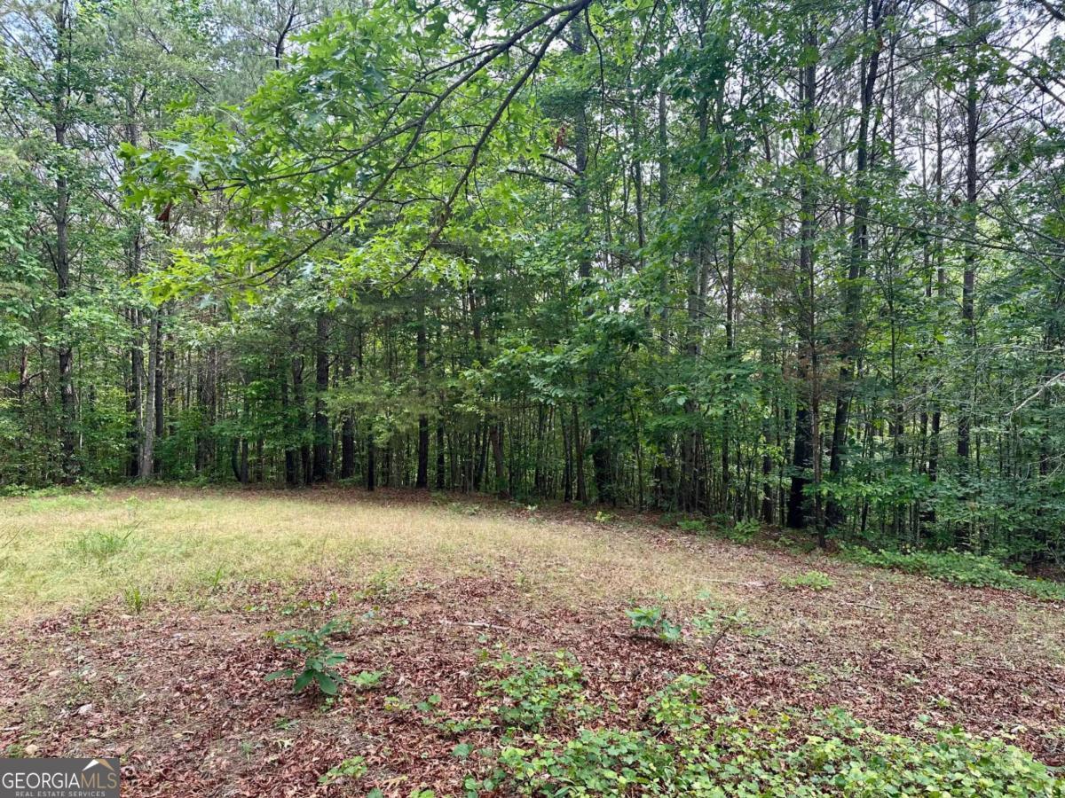 125 Patriot View Drive Dahlonega GA 30533