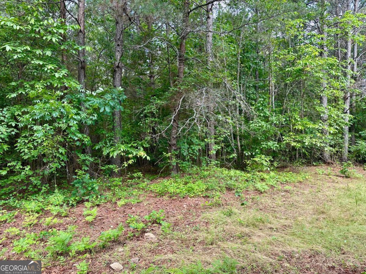 125 Patriot View Drive Dahlonega GA 30533