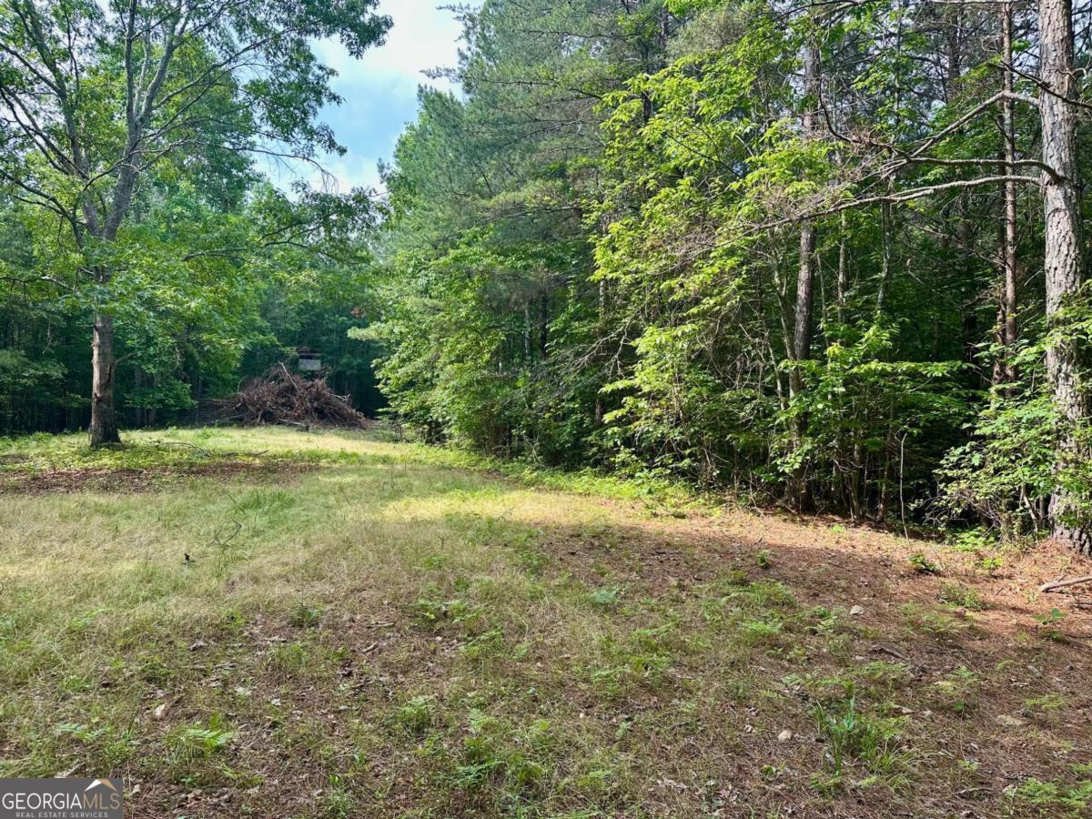 125 Patriot View Drive Dahlonega GA 30533