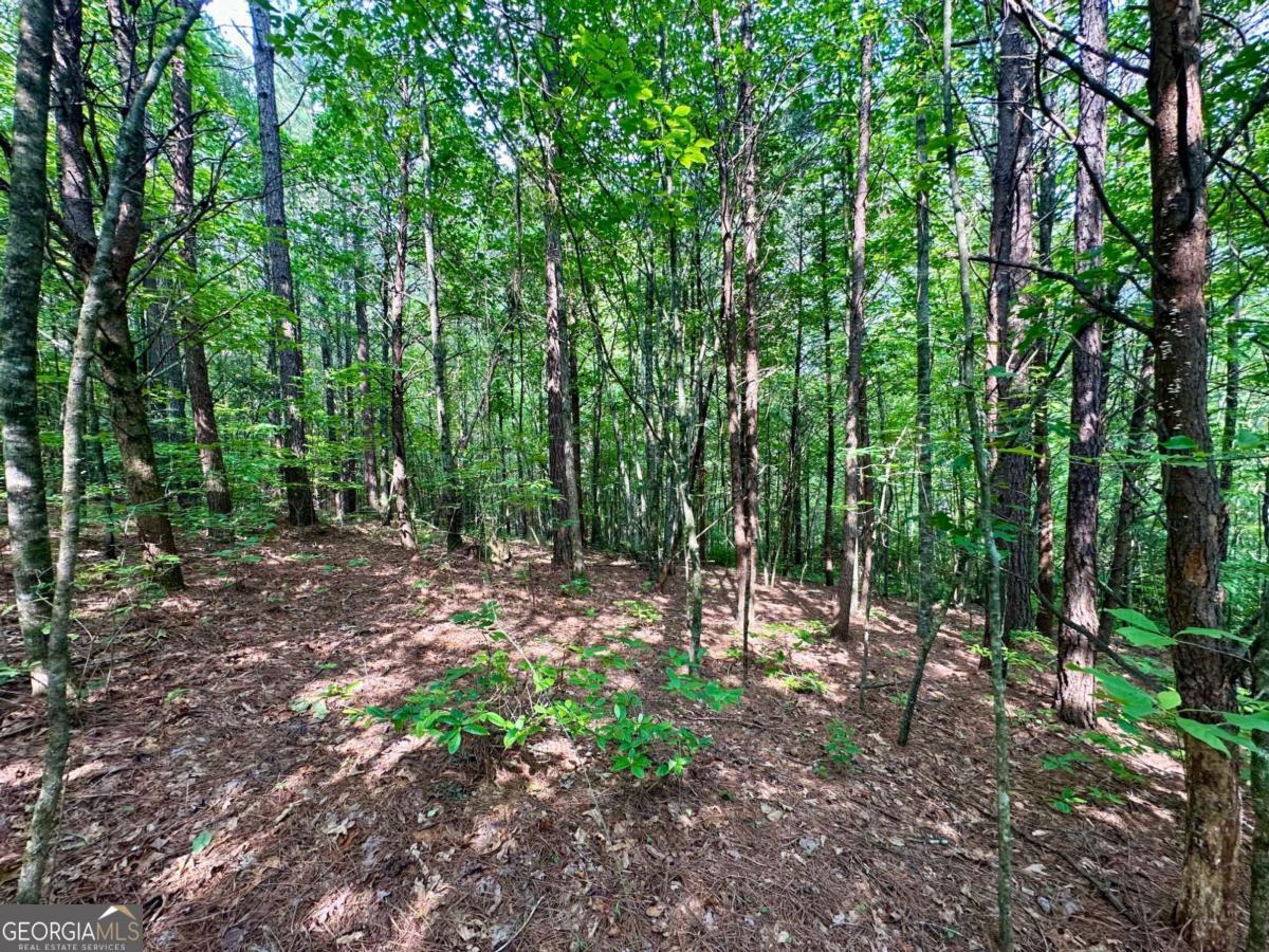 125 Patriot View Drive Dahlonega GA 30533
