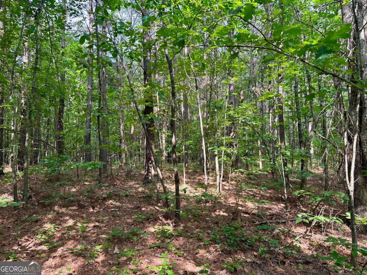125 Patriot View Drive Dahlonega GA 30533