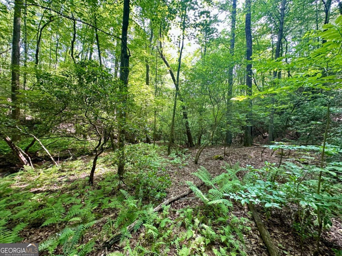 125 Patriot View Drive Dahlonega GA 30533