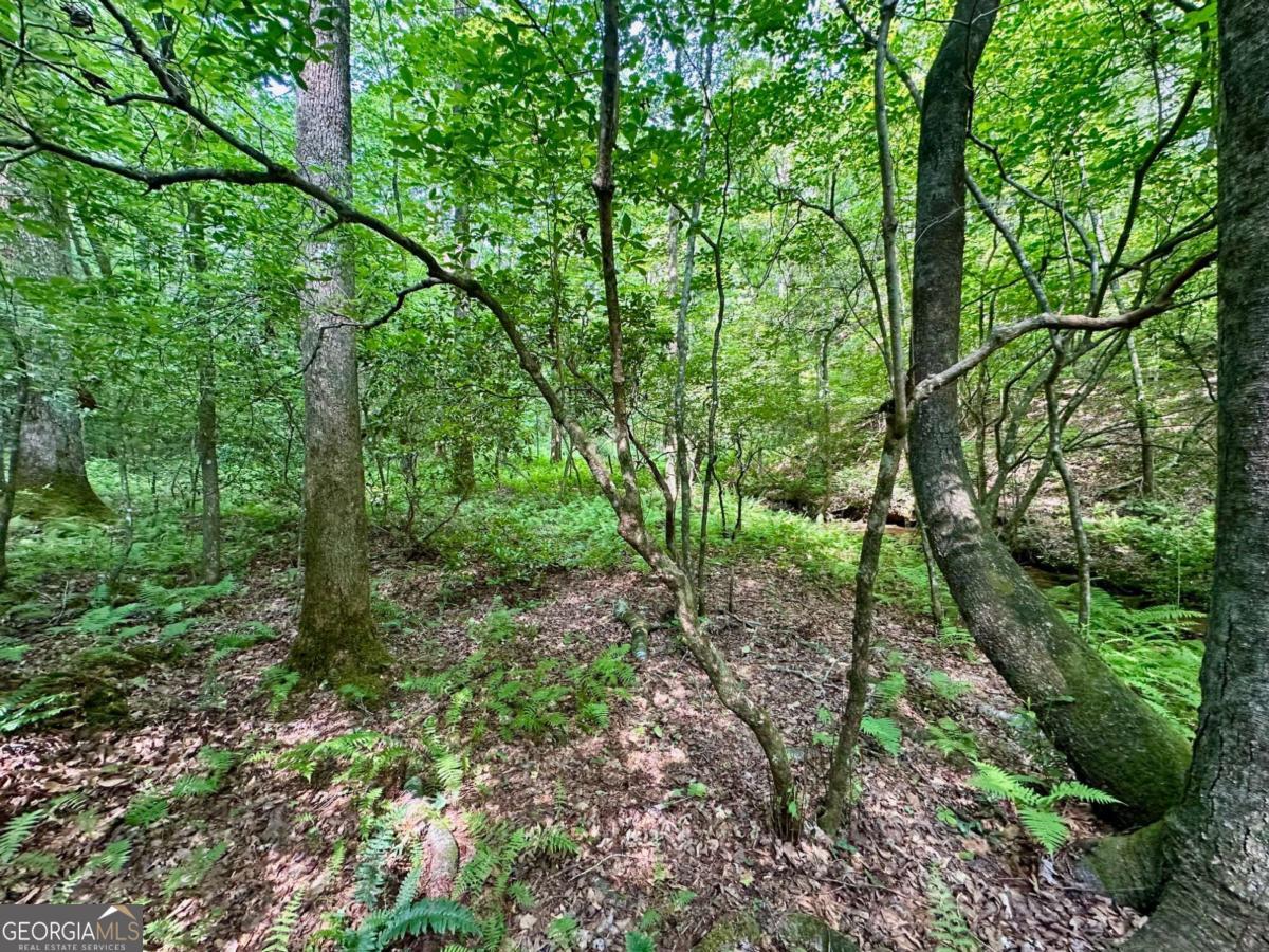 125 Patriot View Drive Dahlonega GA 30533