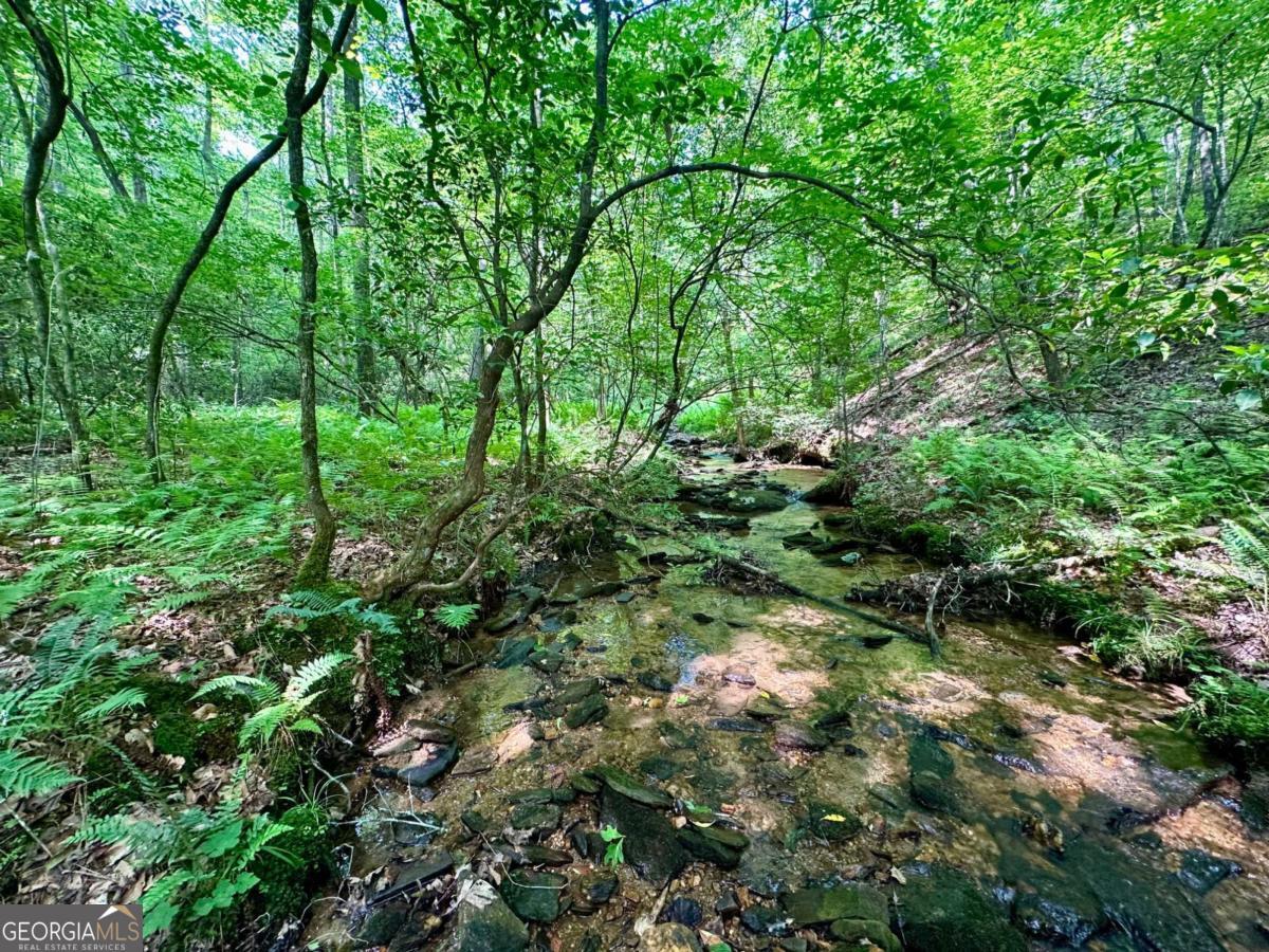 125 Patriot View Drive Dahlonega GA 30533