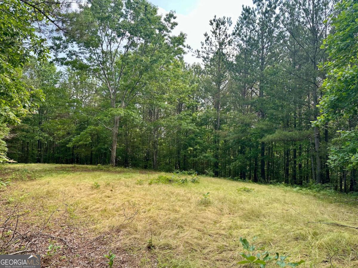 125 Patriot View Drive Dahlonega GA 30533