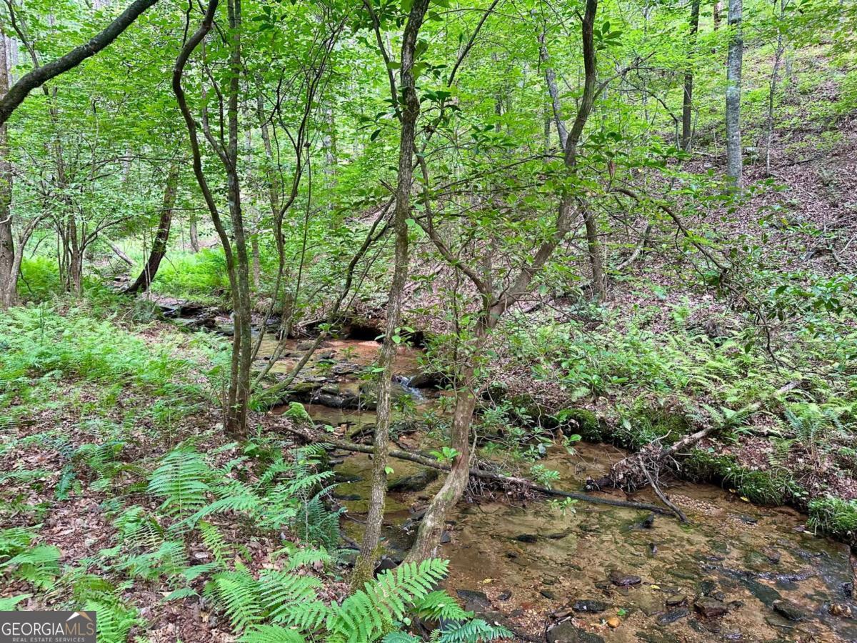125 Patriot View Drive Dahlonega GA 30533