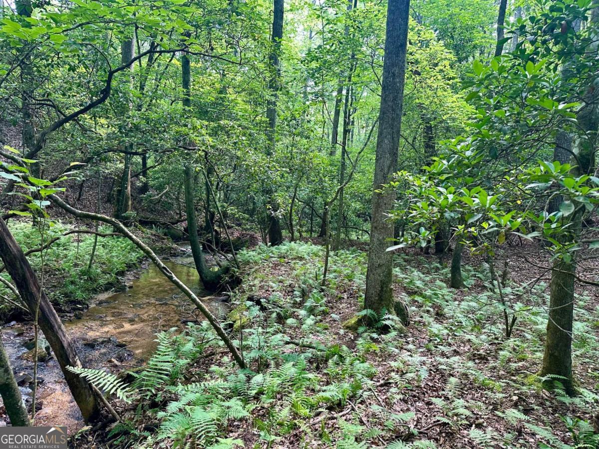 125 Patriot View Drive Dahlonega GA 30533