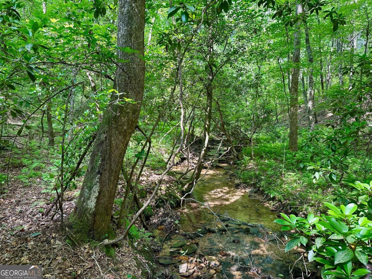 125 Patriot View Drive Dahlonega GA 30533